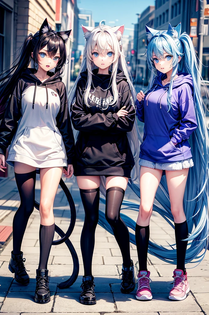 four hot girls with Cat ears and tail, long hair with diferents colours each , blue eyes,hoody