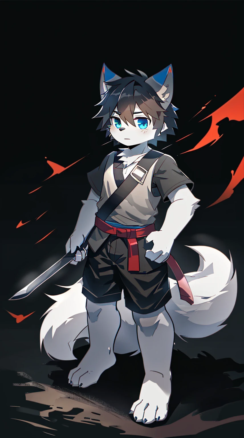 White Wolf,black hair,Sky blue eyes,hairy,Wolf ears,Wolf tail,Full body portrait,The character is in the center of the frame,Handsome,Confident eye***but,juvenile,Black and white combat uniform,Red neck bib,Black shorts,Short sleeve,hairy arms and legs,Dark background,Dark battlefield,dawn,sunrise,dawn,illumination,shadow,Swordsman,Scabbard and Hold the hilt of a in your hand,The scabbard is at the waist,Highest quality