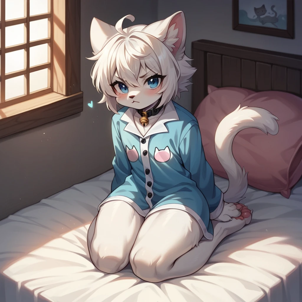 Furry gato, White hair, detailed artwork, sample thighs, cute thighs, shiny thighs, fur covering the thigh and belly, bank coat, blue colored eyes, god of eyes, glare eyes, blue heart in the eyes, white voluminous syrup, detailed grout, black collar with white bell, white ears with pink inside, cute , furry pequeno, Grinning, wearing black cat pajamas, pajamas with cat symbol,sitting on knees, legs open,  boy