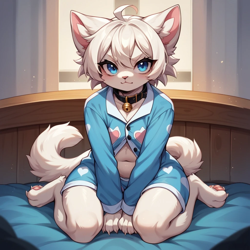 Furry gato, White hair, detailed artwork, sample thighs, cute thighs, shiny thighs, fur covering the thigh and belly, bank coat, blue colored eyes, god of eyes, glare eyes, blue heart in the eyes, white voluminous syrup, detailed grout, black collar with white bell, white ears with pink inside, cute , furry pequeno, Grinning, wearing black cat pajamas, pajamas with cat symbol,sitting on knees, legs open, boy