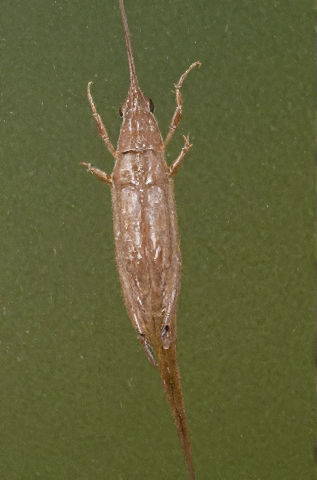 35mm, female masurbating