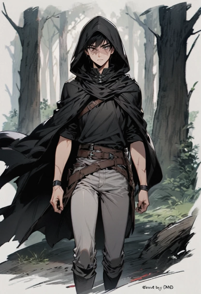 young man ,Male Dark, dark Woods,Red & Black colors, gray eye, rogue dnd, wear cape, hood, have scar