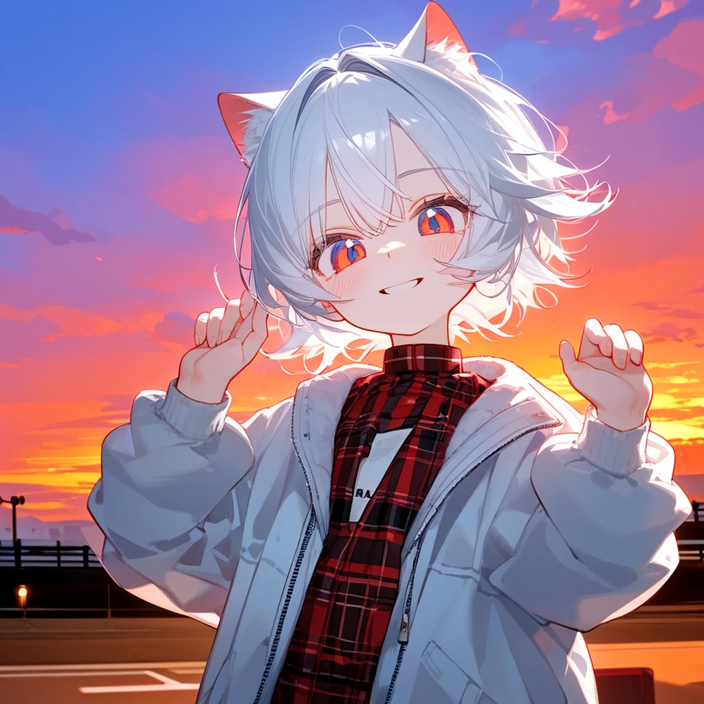 A solo cat boy, His hair is white and his eyes are red, wearing jacket, bust up!!! Cute boy, casual boy, sunset sky , smile, sad vibes