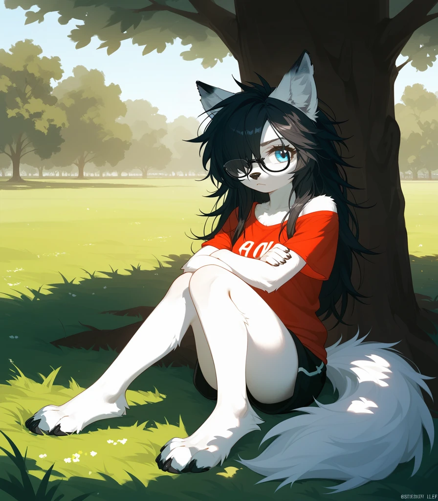 Wolf ears, black wolf ear tips, blend in with characters ears, black tips of wolf ears