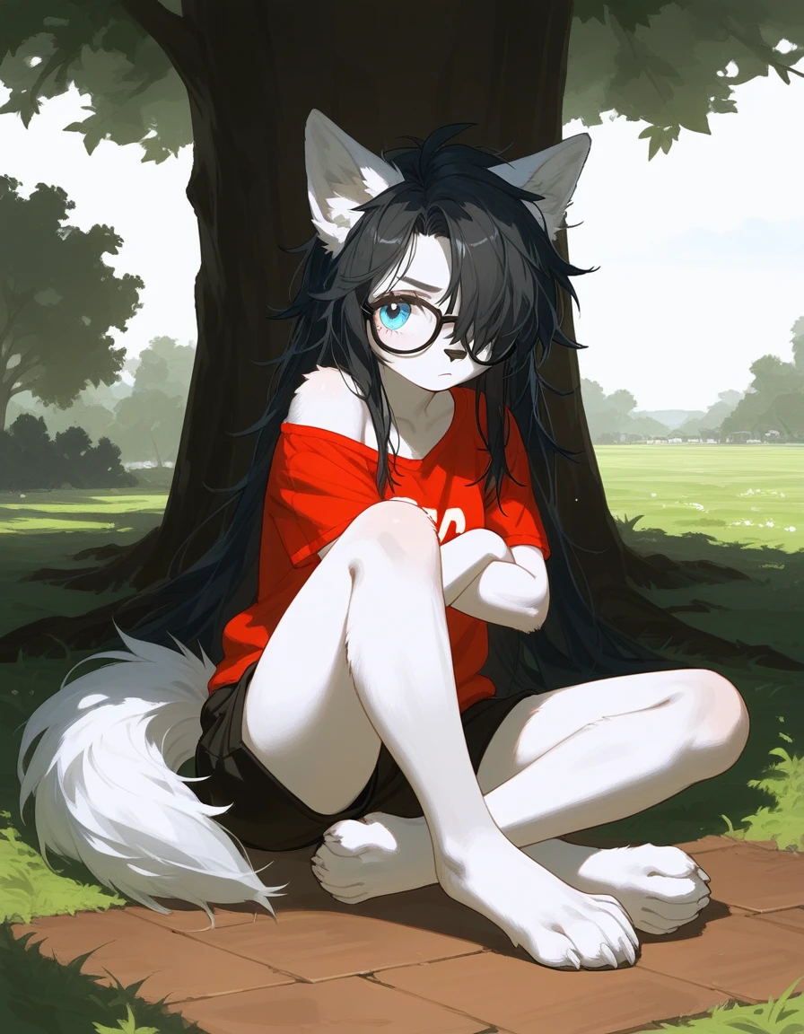 Solo, score_9,score_8_up,score_7_up, a young nerdy Anthro furry wolf woman, wolf snout, white furry body, tall body, long black messy hair, black hair, (hair in a pony tail):1.3, hair covering one eye, black glasses, blue eyes, white wolf ears, small breasts, wearing oversized red t shirt, exposed shoulder, black boy shorts, outdoors, cutely pouting, sitting under a shady tree, feet paws, 4 toes, grassy floor, legs sprawled out across the floor, arms crossed, leaning against a tree, grassy field