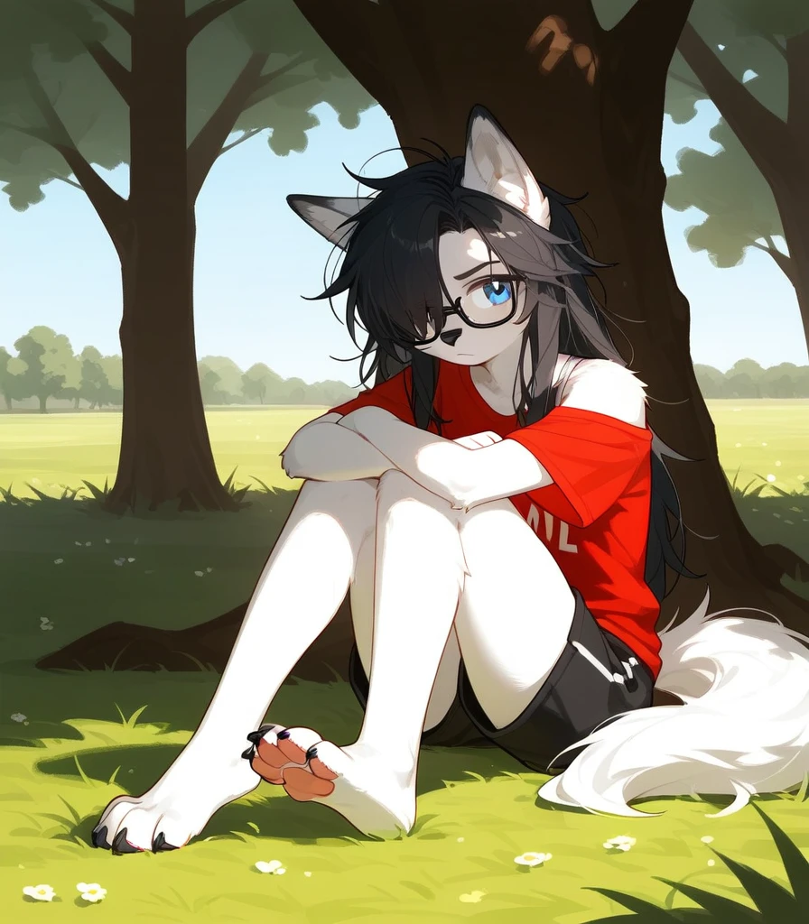 Solo, score_9,score_8_up,score_7_up, a young nerdy Anthro furry wolf woman, wolf snout, white furry body, tall body, long black messy hair, black hair, (hair in a pony tail):1.3, hair covering one eye, black glasses, blue eyes, white wolf ears, small breasts, wearing oversized red t shirt, exposed shoulder, black boy shorts, outdoors, cutely pouting, sitting under a shady tree, feet paws, 4 toes, grassy floor, legs sprawled out across the floor, arms crossed, leaning against a tree, grassy field