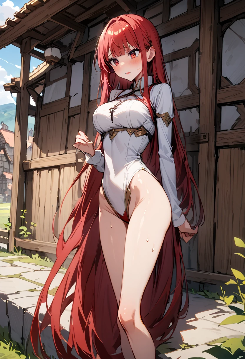 ((masterpiece,Highest quality:1.3)),1woman,30 year old beauty,独奏,((very small head:1.3)),red hair,long hair,blunt bangs,red eyes,gorgeous eyes,shy,medium breasts,((very long body:1.2)),((toned body,slender body,)),skinny,gleaming skin,shiny skin,sweat,(White Henley T-shirt、Long sleeve),((Red itting,rural area、sunny、Medieval Europe、