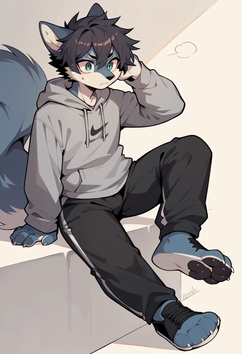 Anthromorphic wolf, clothing: grey hoodie, black sweatpants, black Nike shoes. Appearance: messy tufts of hair, big tail, paws for hands, paws for feet.