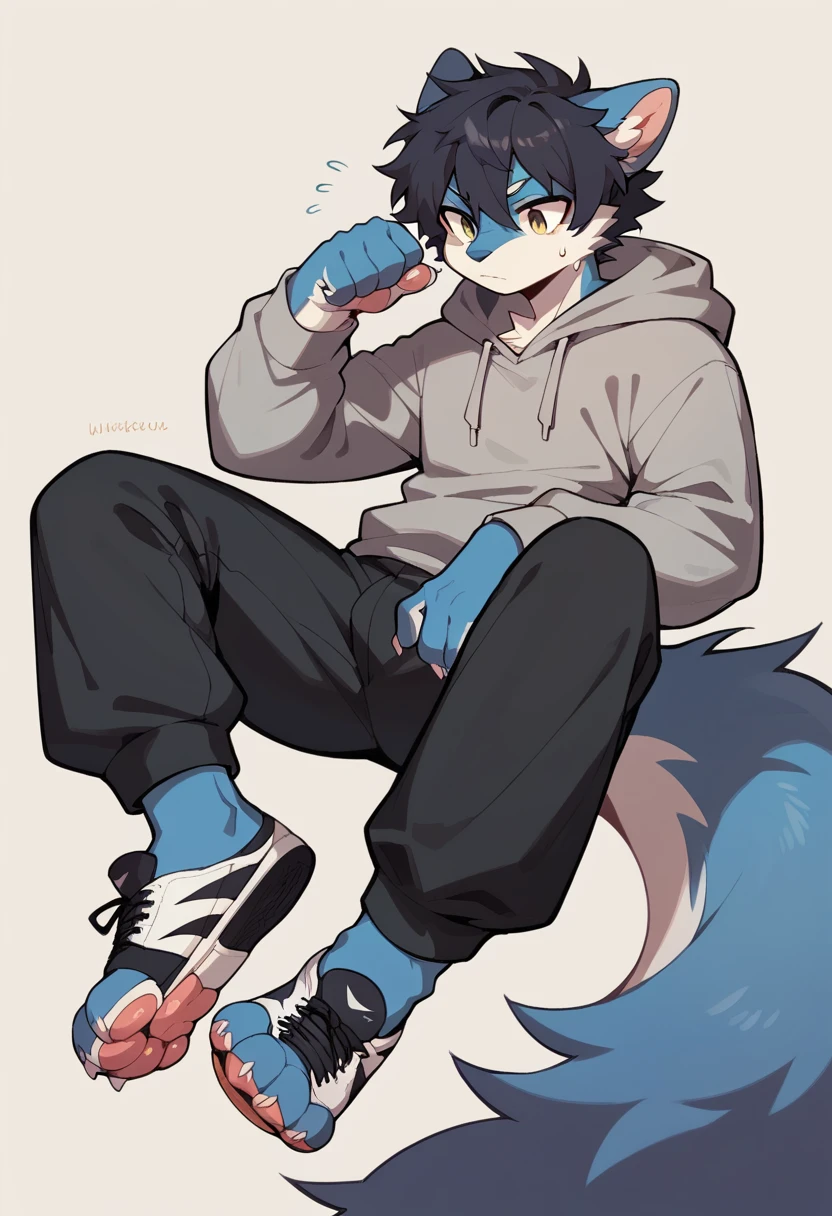 Anthromorphic wolf, clothing: grey hoodie, black sweatpants, black Nike shoes. Appearance: messy tufts of hair, big tail, paws for hands, paws for feet.