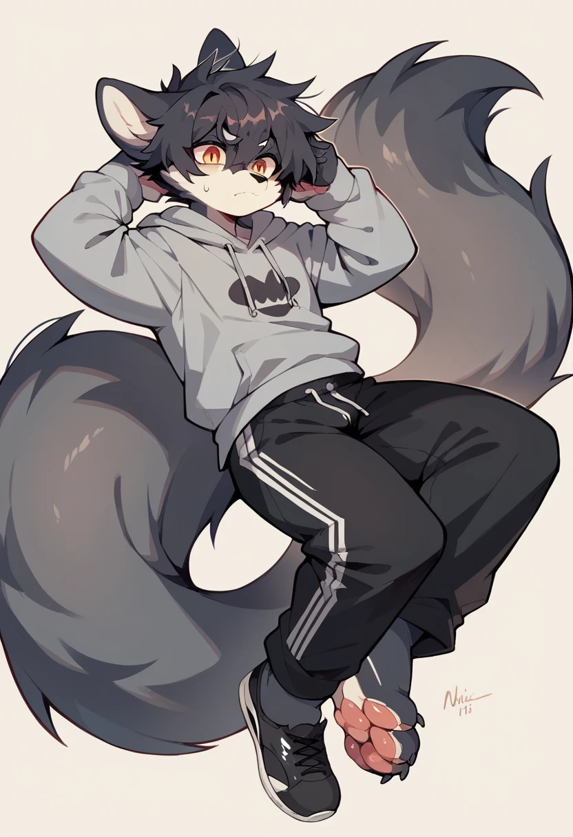 Anthromorphic wolf, clothing: grey hoodie, black sweatpants, black Nike shoes. Appearance: messy tufts of hair, big tail, paws for hands, paws for feet.