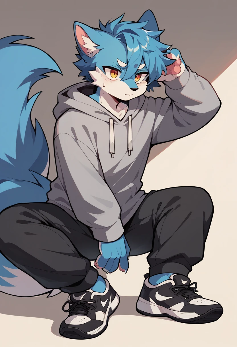 Anthromorphic wolf, clothing: grey hoodie, black sweatpants, black Nike shoes. Appearance: messy tufts of hair, big tail, paws for hands.