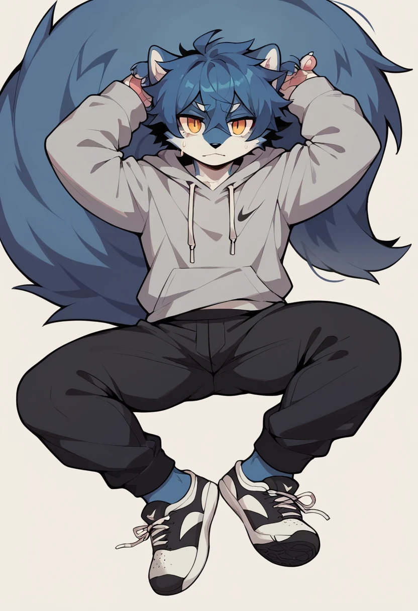Anthromorphic wolf, clothing: grey hoodie, black sweatpants, black Nike shoes. Appearance: messy tufts of hair, big tail, paws for hands.