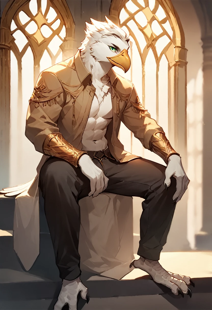 score_9, score_8_up, score_7_up, score_6_up, score_5_up, score_4_up, (solo), male anthro white eagle avian, solo, castle, sitting, light blond hair, green eyes, long length noble fringe hairstyle, athletic, pants