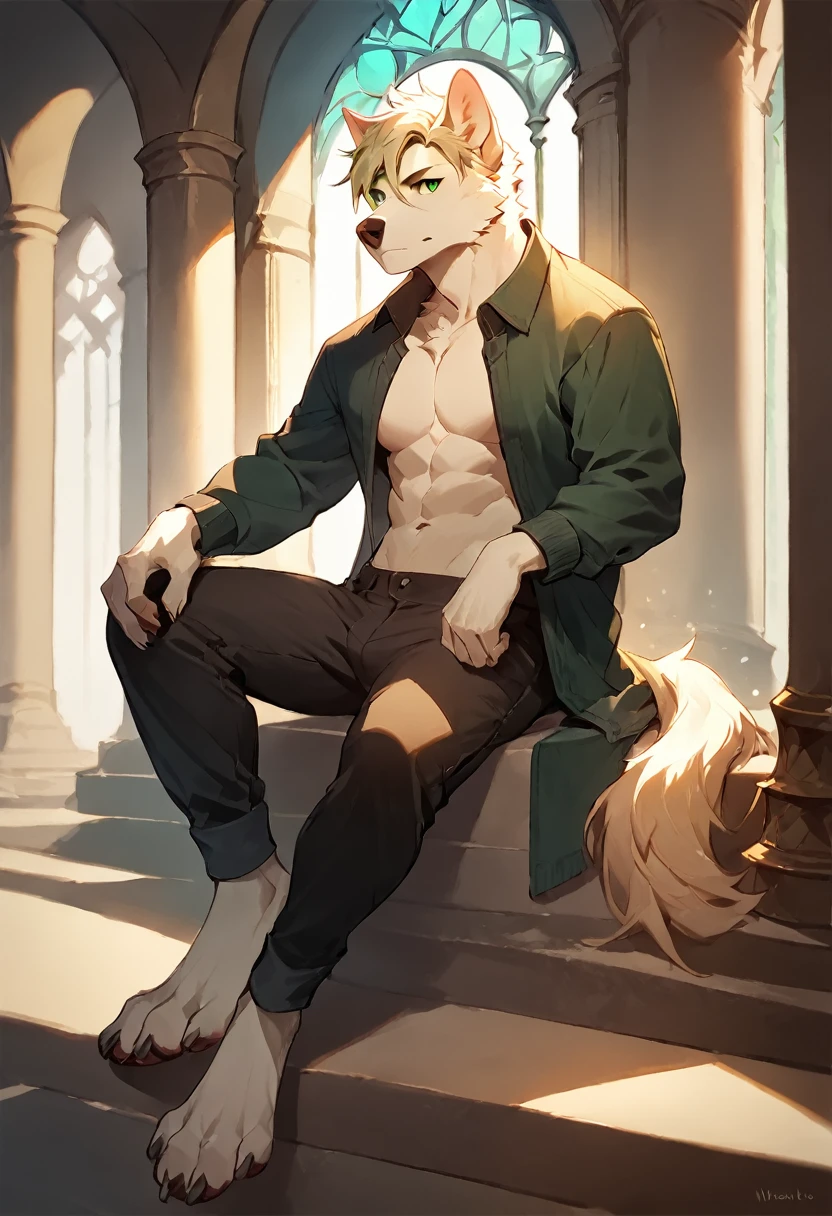 score_9, score_8_up, score_7_up, score_6_up, score_5_up, score_4_up, (solo), male anthro white dog, solo, castle, sitting, light blond hair, green eyes, long length noble fringe hairstyle, athletic, pants