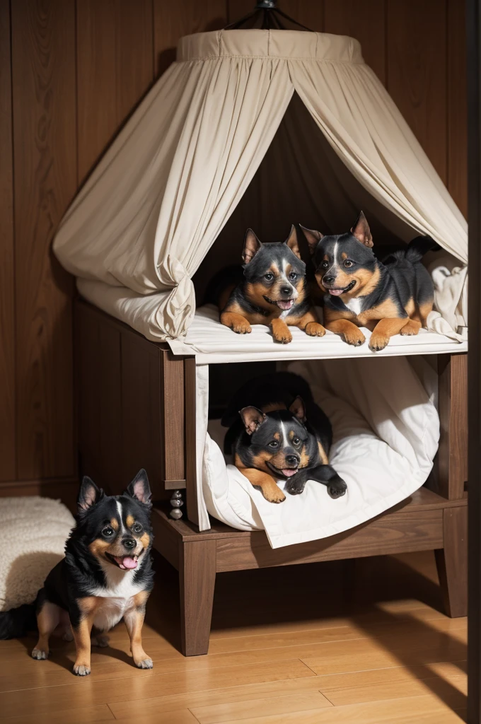 Dogs in MusroomSBatnic