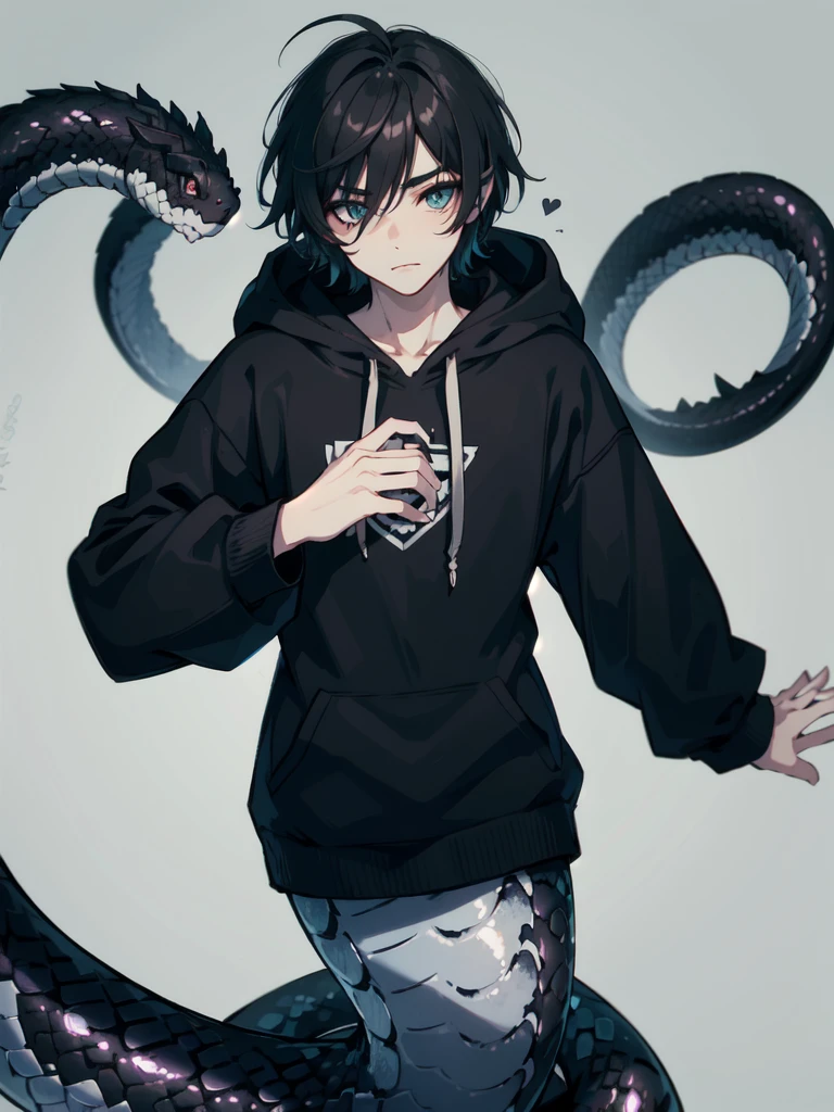 1 boy,more details in eyes,cute face,handsome,young,juvenile,((masterpiece:1.4,best quality)),multiple details,black hair,eyeshadow, lamia, snake tail, emo,hoodie, black snake tail, full body