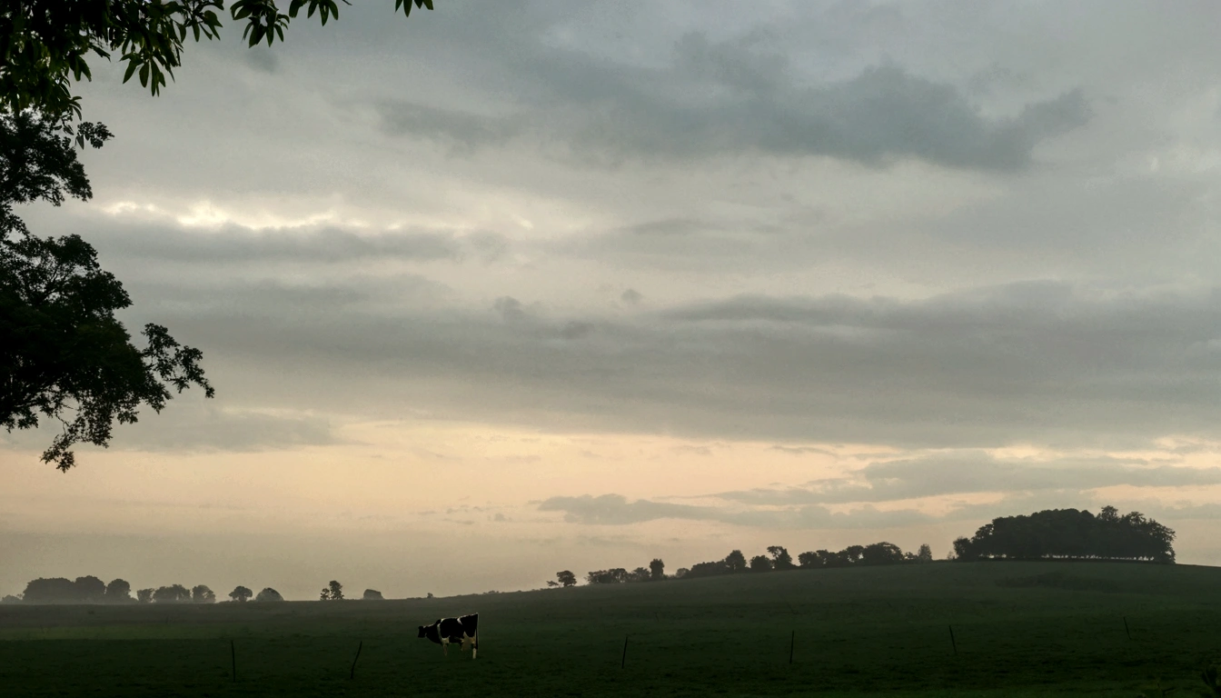 there is a cow standing in a field with a sky background, beautiful late afternoon, overcast dusk, early morning, day setting, overcast dawn, mid morning lighting, moody evening light, moody sky at the back, in the early morning, early morning mood, early evening, moody setting, overcast day, it is afternoon, image from afar, moody morning light