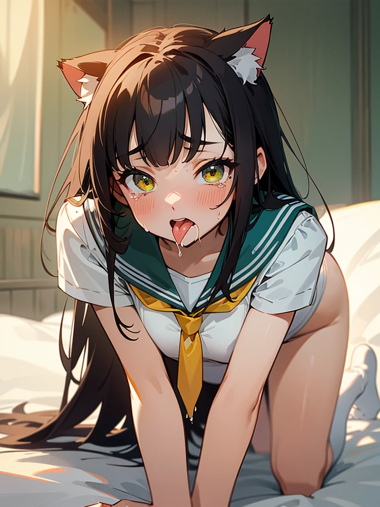high resolution,High resolution,1Beautiful girl of the person,whole body,On all fours,Look Up,looking at the camera,Big eyes,Crying face,Tears,Stringy saliva,Open your mouth wide,Sticking out tongue,Flush saliva,Overflowing with saliva,semi-long,Black Hair,Yellow-green eyes,White Sailor Leotard,High Leg,Red tie,Tears overflow,Dripping a lot of saliva,Drooling,On the bed,sexy,Western-style room,Alluring,Cat ears,Cat's Tail,