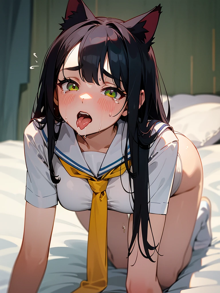 high resolution,High resolution,1Beautiful girl of the person,whole body,On all fours,Look Up,looking at the camera,Big eyes,Crying face,Tears,Stringy saliva,Open your mouth wide,Sticking out tongue,Flush saliva,Overflowing with saliva,semi-long,Black Hair,Yellow-green eyes,White Sailor Leotard,High Leg,Red tie,Tears overflow,Dripping a lot of saliva,Drooling,On the bed,sexy,Western-style room,Alluring,Cat ears,Cat's Tail,