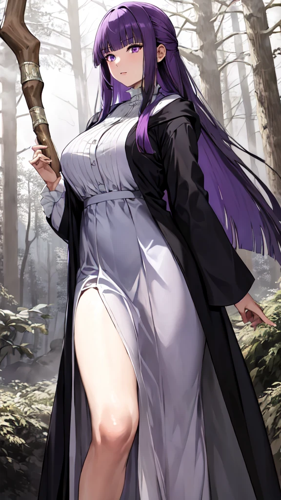 masterpiece, Highest quality, High resolution, Arfern, Long Hair, Purple Hair, Blunt bangs, Purple eyes, Large Breasts, Long dress, White Dress, Black Robe, Long sleeve, Are standing, holding staff, forest, Cowboy Shot,