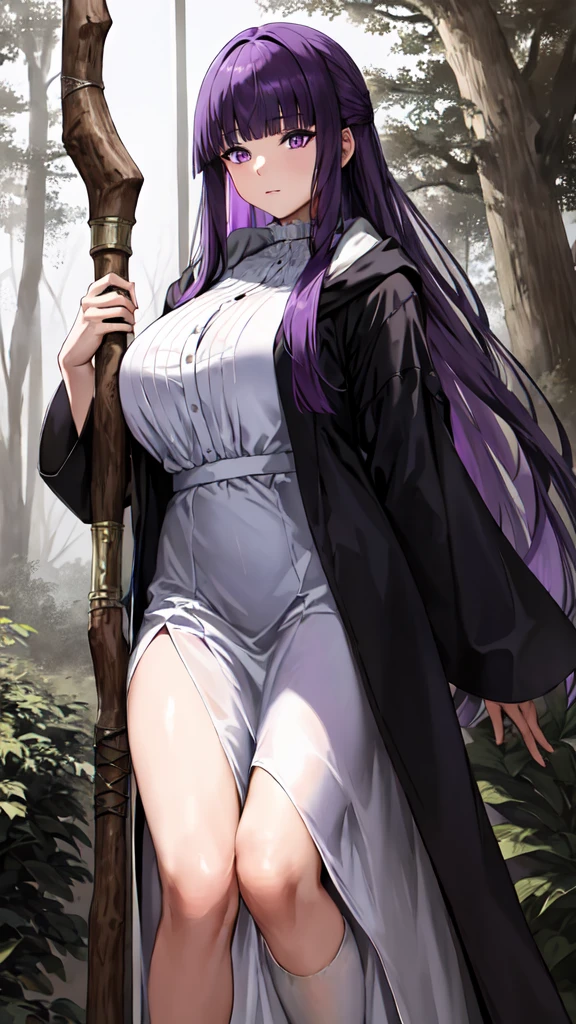 masterpiece, Highest quality, High resolution, Arfern, Long Hair, Purple Hair, Blunt bangs, Purple eyes, Large Breasts, Long dress, White Dress, Black Robe, Long sleeve, Are standing, holding staff, forest, Cowboy Shot,
