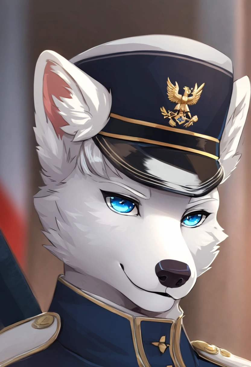 Arctic fox as a Prussian soldier