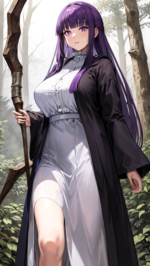 masterpiece, Highest quality, High resolution, Arfern, Long Hair, Purple Hair, Blunt bangs, Purple eyes, Large Breasts, Long dress, White Dress, Black Robe, Long sleeve, Are standing, holding staff, forest, Cowboy Shot,