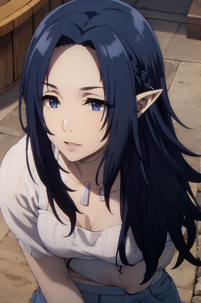 blue eyes,blue hair,,elf,pointy ears,, long hair