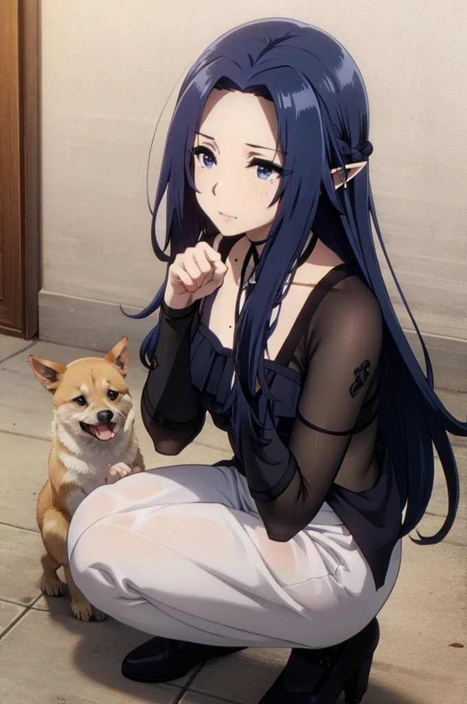 blue eyes,blue hair,,elf,pointy ears,, long hair,eager pet pose