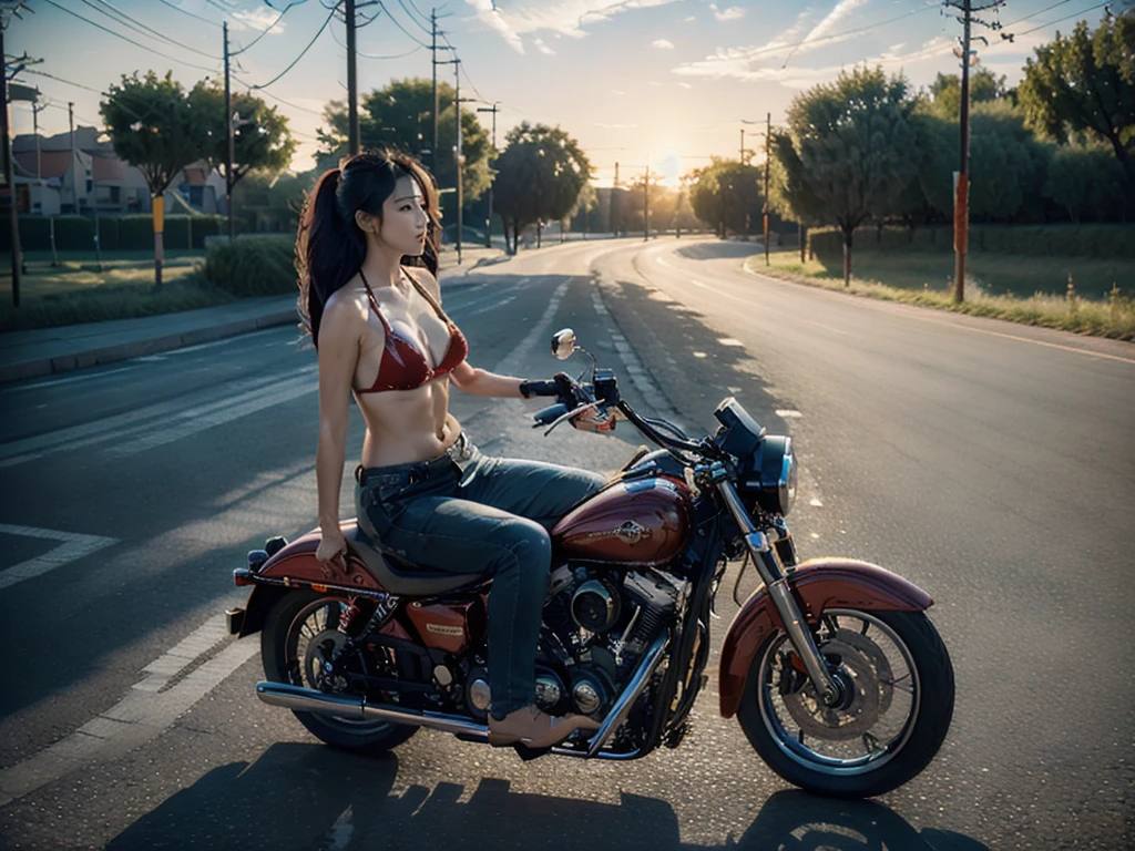 Woman riding a Harley,Long black hair with red highlights, Full Scene Shot, Highest quality, sunset, Step Path, The wind is blowing,Look up at the sky, Beautiful woman, Outdoor Scene, 自然のlandscape, bikini, Umbilical cord prolapse, jeans,Cross Belt、Highly detailed face and skin texture, fine grain,, whole body, Octane Rendering,Two-tone lighting,wide aperture,Low ISO,White balance, Driving a classic motorcycle, landscape