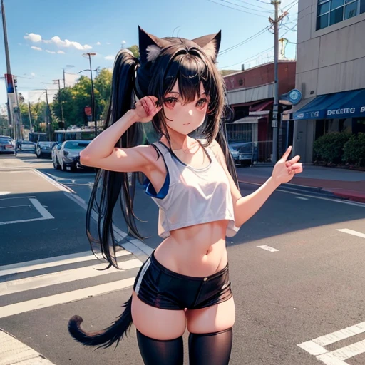 (8K, RAW photograph, Highest quality, masterpiece:1.3),(Genuine,photograph:1.37),(Black Hair),Pause,One girl,Very beautiful face,cute,(small),(Hands down))),Poggy Hairstyle,Random representation,(White T-shirt),ＪＫ_style,(Track Shorts) ,Black Hair,(19 years old),moderate,Five Fingers,Normal hand,small Mouth,Straight hair　Dark blue hair girl, Cat ears and tail, Wearing a tank top and racing pants.　Loli body type　　Twin tails　Female genitalia is visible　　Detailed depiction of female genitalia　Flat Chest　Stern expression　With legs apart