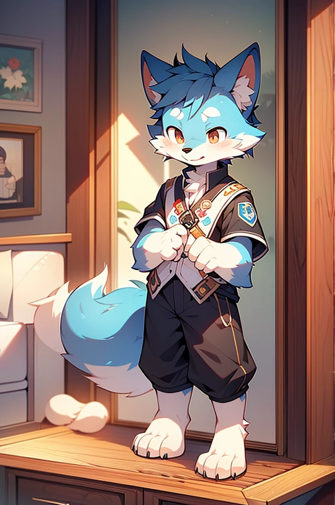 Blue fur, Canine, fox motif, boy, uniform,expensive,One person,Stand up on your own feet,