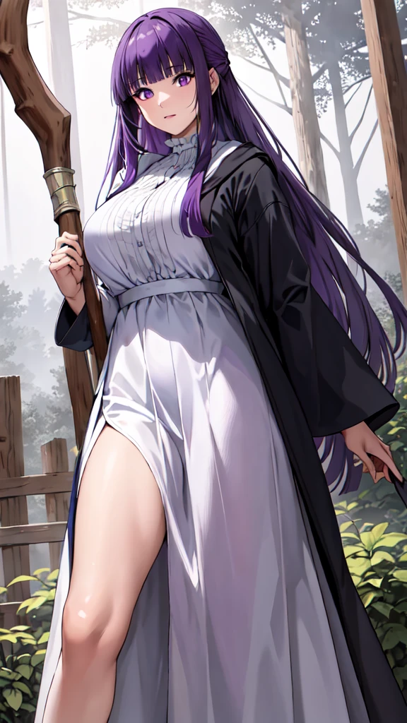 masterpiece, Highest quality, High resolution, Arfern, Long Hair, Purple Hair, Blunt bangs, Purple eyes, Large Breasts, Long dress, White Dress, Black Robe, Long sleeve, Are standing, holding staff, forest, Cowboy Shot,