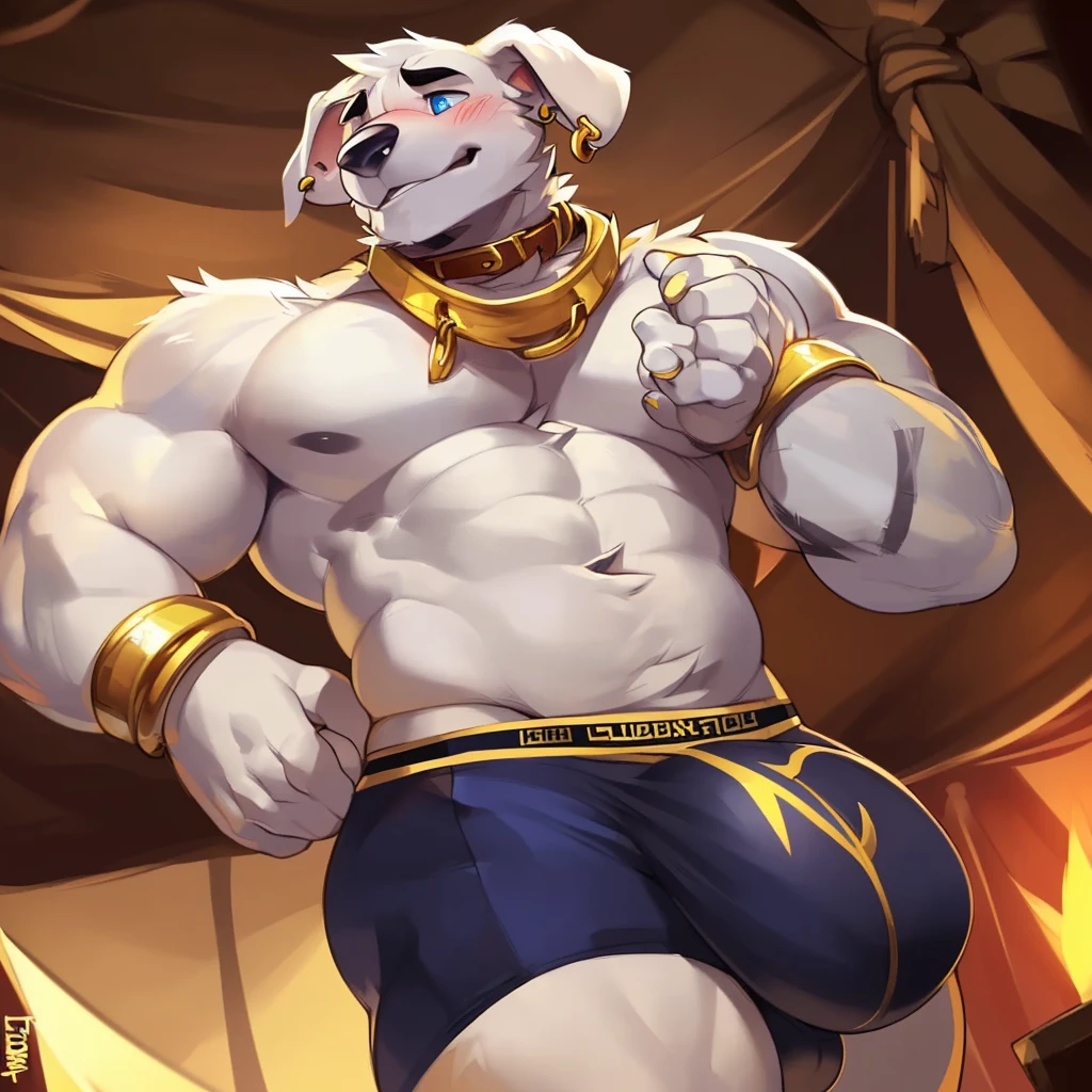 Solo, male (((retriever, muscular, white fur, white body, white fur, black eyebrows, black nose, blue eyes, folded ears, flustered expression, blush, ear piercing, ear ring, golden collar, gold cuffs, thin waist, underwear, big bulge))) standing, 5 fingers, tribal tent ((focus eyes, focus pupils, focus white body, focus white fur, focus 5 fingers, focus golden collar, focus underwear)) full body, perfect anatomy, adult character, by darkgem, by mystikfox61, by glitter trap boy