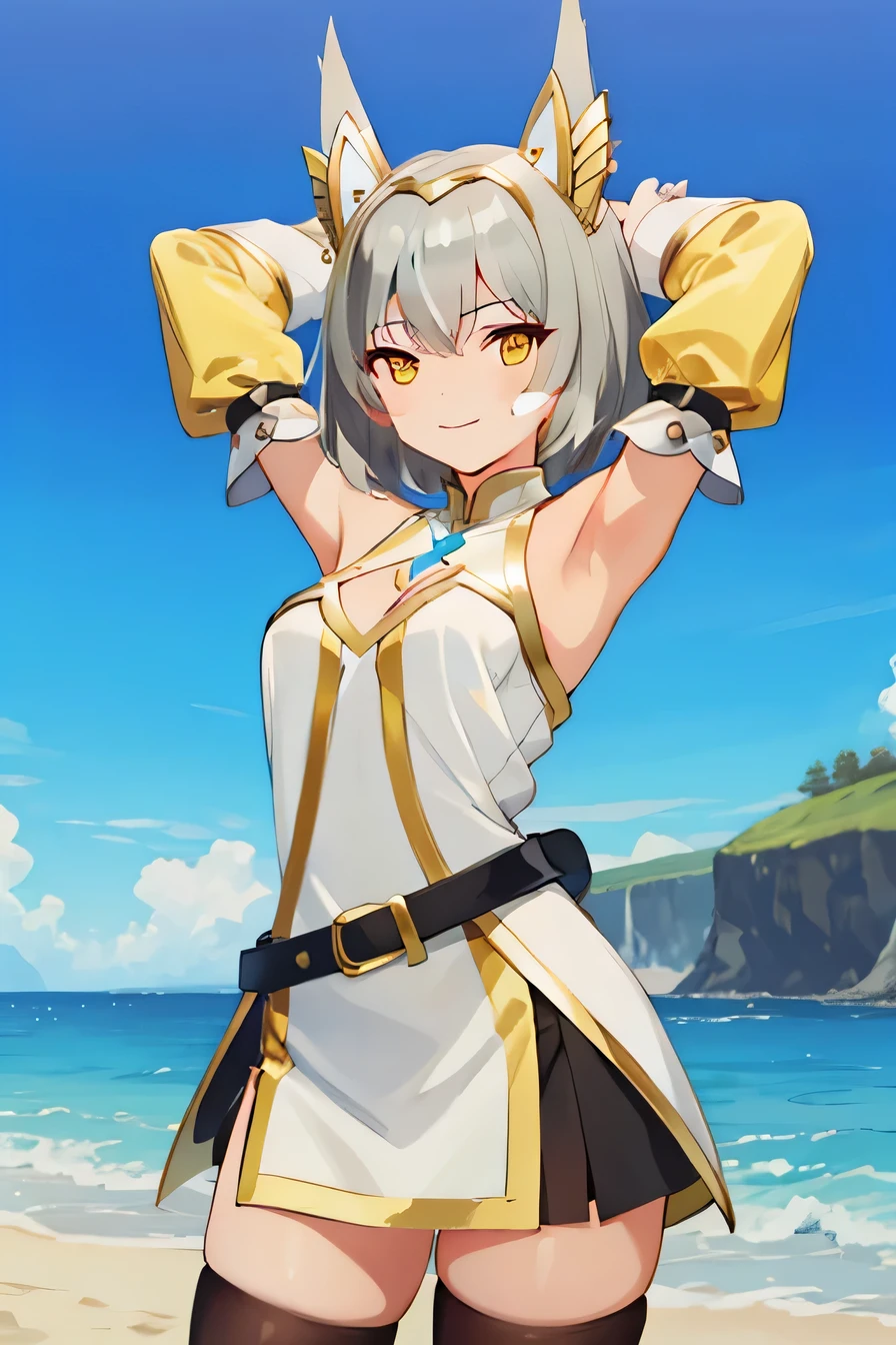 niaglowup,1girl,short hair,grey hair,blunt bangs,gold trim high cat ears,white facial mark,yellow eyes,
white halterneck high collar,yellow white bodysuit,yellow detached sleeves,yellow detached sleeves and black gauntlets,black belt,black pantyhose,red trim white boots,, Exquisite visuals, high-definition,masterpiece,best quality,Exquisite visuals,high-definition,masterpiece,best quality,18yo,Young female,Beautiful Fingers,Beautiful long legs,Beautiful body,Beautiful character design,  high quality, solo, night sky, beach, arms behind head, contrapposto, closed mouth, spread armpits, (cowboy shot:1.5), looking at viewer, smile, best quality,
