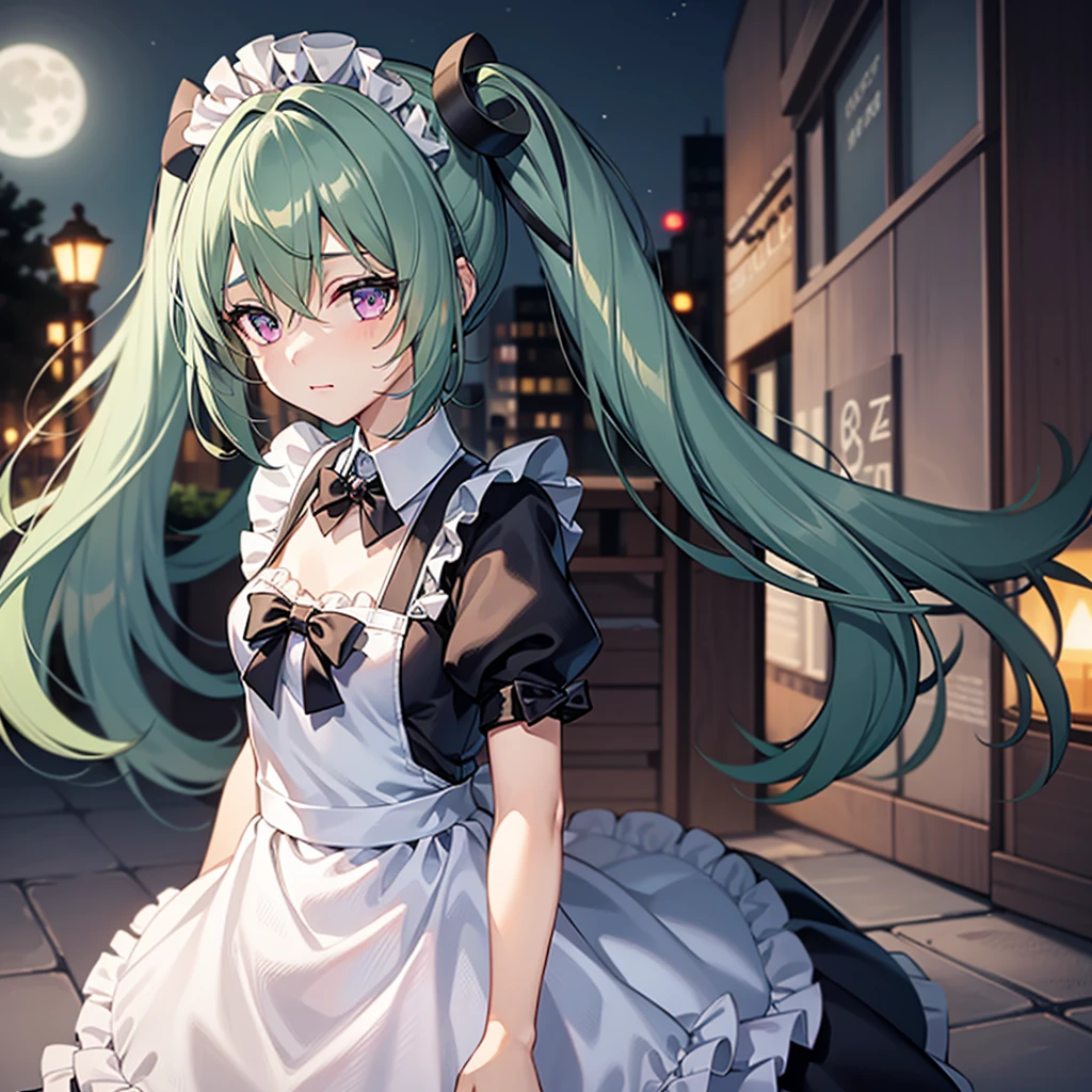 1girl,green hair,purple eyes,maid,pigtails,(tareme eyes1.5),Yandere,white panties, city night, moon