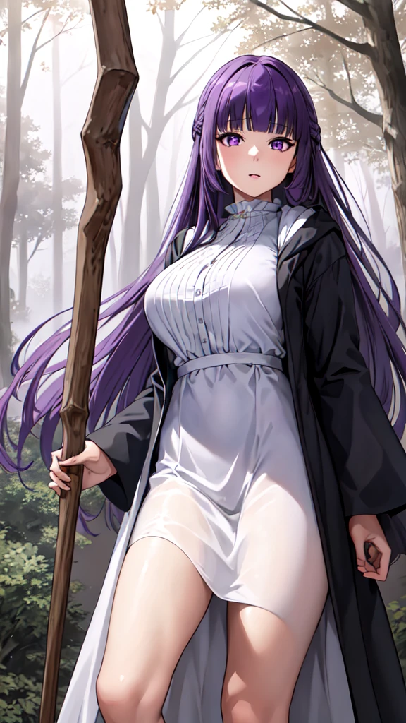 masterpiece, Highest quality, High resolution, Arfern, Long Hair, Purple Hair, Blunt bangs, Purple eyes, Large Breasts, Long dress, White Dress, Black Robe, Long sleeve, Are standing, holding staff, forest, Cowboy Shot,