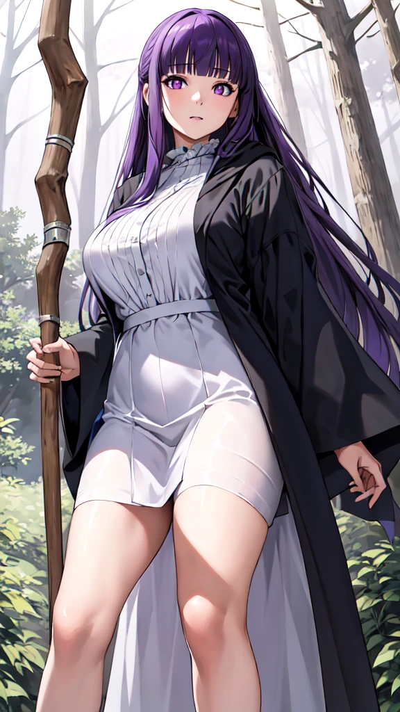 masterpiece, Highest quality, High resolution, Arfern, Long Hair, Purple Hair, Blunt bangs, Purple eyes, Large Breasts, Long dress, White Dress, Black Robe, Long sleeve, Are standing, holding staff, forest, Cowboy Shot,