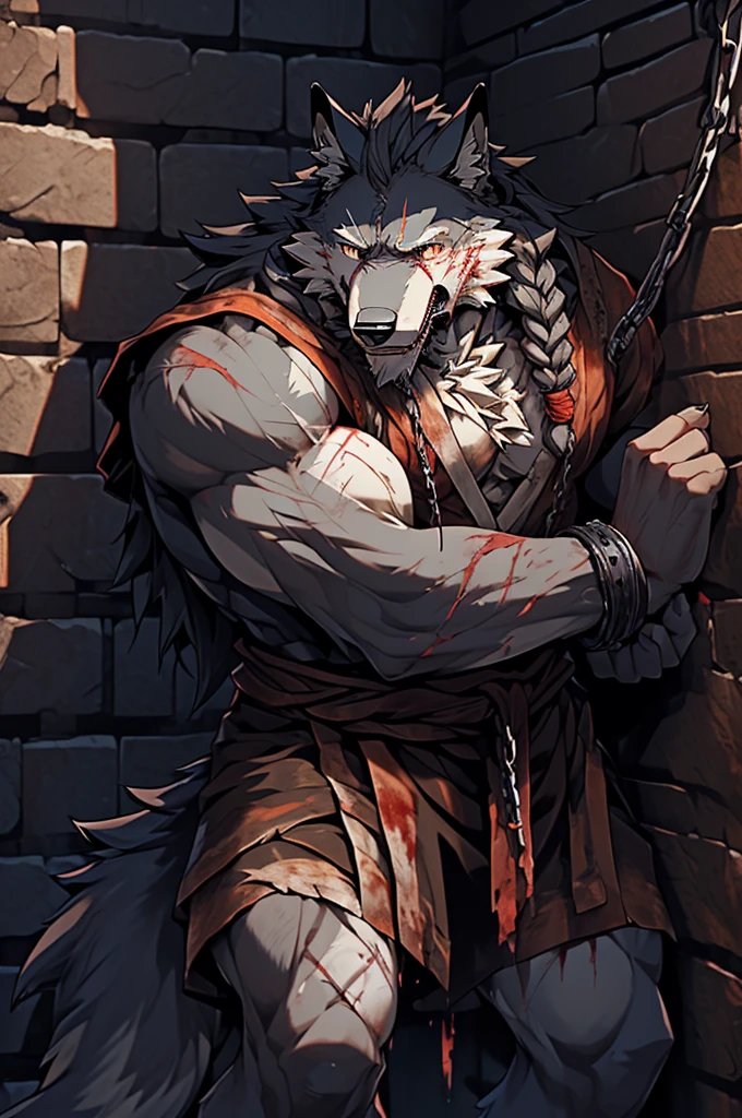 (solo),(best quality), (photorealistic:1.2), (masterpiece:1.3), (realistic detail:1.2), highest quality, ultra detailed, 8k, RAW photo, (mature male wolf:1.3), (general),(defeated),(damaged body),(extreme detail:1.3), (gray fur:1.2), facial hair, long hair, white braided hair, (blood:1,6),(elderly:1.2), (emaciated:1.3), nude, (muscular:1.3), (battered body:1.4), bleeding, (heavily scarred:1.4), shackled, (chained:1.4),(chains wrapped around his arms and main body ), (dungeon:1.3), (torture:1.3), (extreme pain:1.5), (semiconscious:1.3), (main body nailed to the wall:1.3), (weak:1.4), (suffering:1.5), (dim lighting:1.2),(coughing blood)
