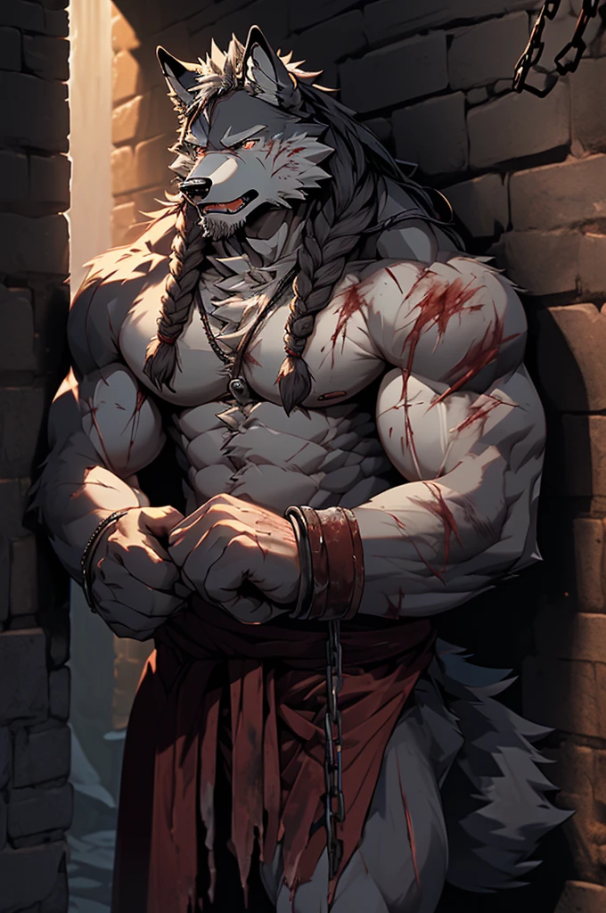 (solo),(best quality), (photorealistic:1.2), (masterpiece:1.3), (realistic detail:1.2), highest quality, ultra detailed, 8k, RAW photo, (mature male wolf:1.3), (general),(defeated),(damaged body),(extreme detail:1.3), (gray fur:1.2), facial hair, long hair, white braided hair, (blood:1,6),(elderly:1.2), (emaciated:1.3), nude, (muscular:1.3), (battered body:1.4), bleeding, (heavily scarred:1.4), shackled, (chained:1.4),(chains wrapped around his arms and main body ), (dungeon:1.3), (torture:1.3), (extreme pain:1.5), (semiconscious:1.3), (main body nailed to the wall:1.3), (weak:1.4), (suffering:1.5), (dim lighting:1.2)