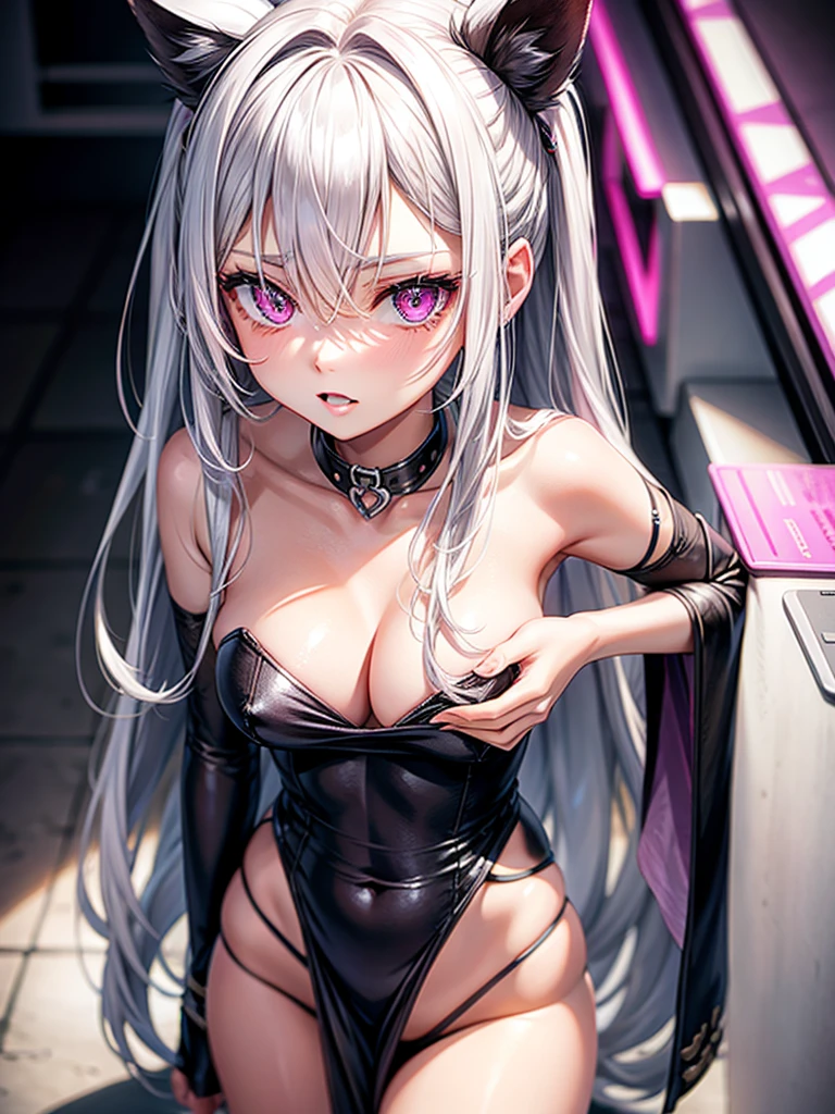 silver hair, pink eyes, sexy, neko