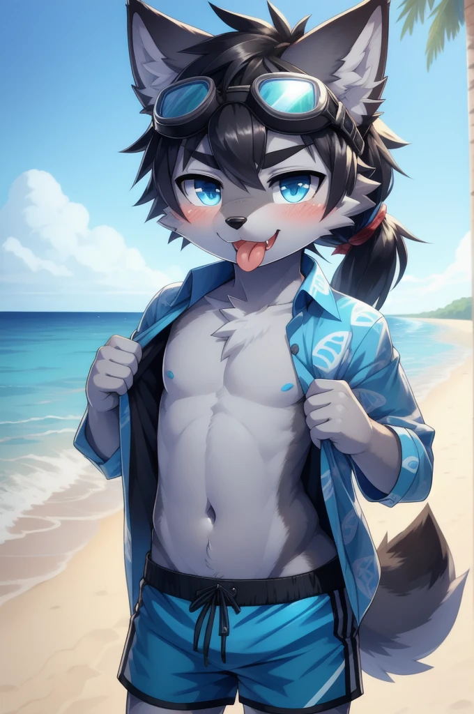 Furry shota, wolf, black hair, long spiky ponytail, blue eyes, detailed body fur, ((goggles, blue hawaiian shirt, open clothes, big canine penis)), looking at you, fangs, clear grey body fur, detailed face, big eyebrows, detailed eyes, detailed body, detailed body fur, detailed hands, flat body, glistering body, shiny body, skinny, aeghao, tongue out, looking at you, glow throughout the scene, masterpiece, straddle viewer, low angle, beach, clear sky, penis focus, stomach, flat body, slender,