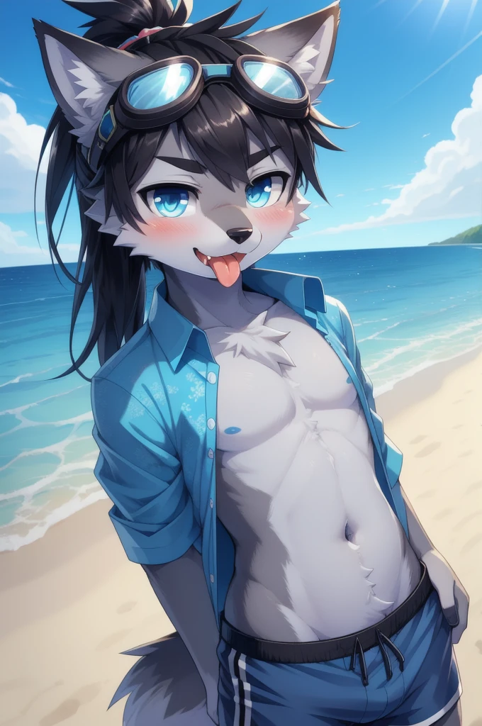 Furry shota, wolf, black hair, long spiky ponytail, blue eyes, detailed body fur, ((goggles, blue hawaiian shirt, open clothes, black swim trunks)), looking at you, fangs, clear grey body fur, detailed face, big eyebrows, detailed eyes, detailed body, detailed body fur, detailed hands, glistering body, shiny body, skinny, solo, clothes lift, tongue, navel, tongue out, stomach, lifted by self, upper body, :p, blush, beach, clear sky,