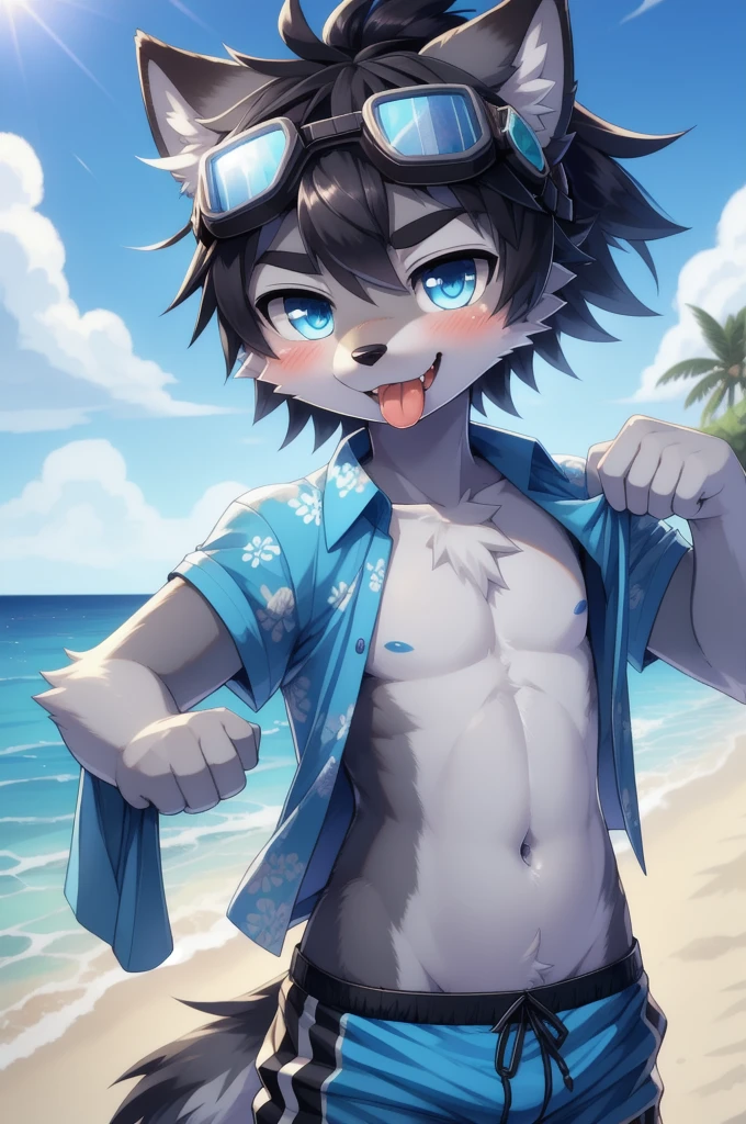 Furry shota, wolf, black hair, long spiky ponytail, blue eyes, detailed body fur, ((goggles, blue hawaiian shirt, open clothes, black swim trunks)), looking at you, fangs, clear grey body fur, detailed face, big eyebrows, detailed eyes, detailed body, detailed body fur, detailed hands, glistering body, shiny body, skinny, solo, clothes lift, tongue, navel, tongue out, stomach, lifted by self, upper body, :p, blush, beach, clear sky,