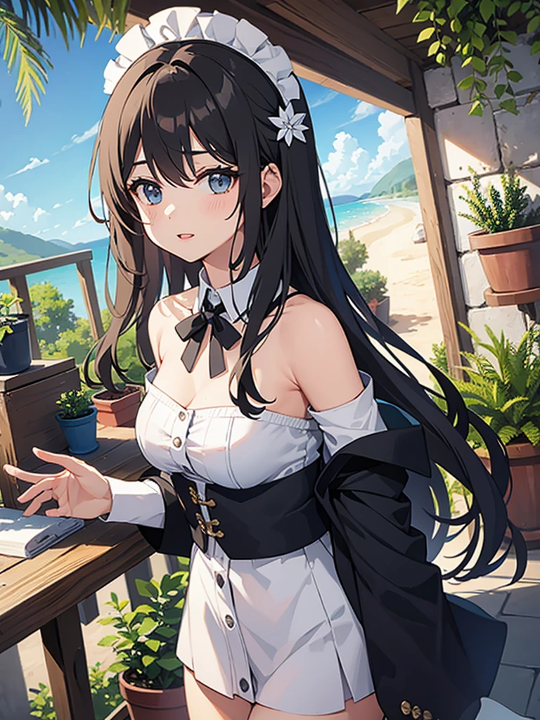 Background with potted pine plants