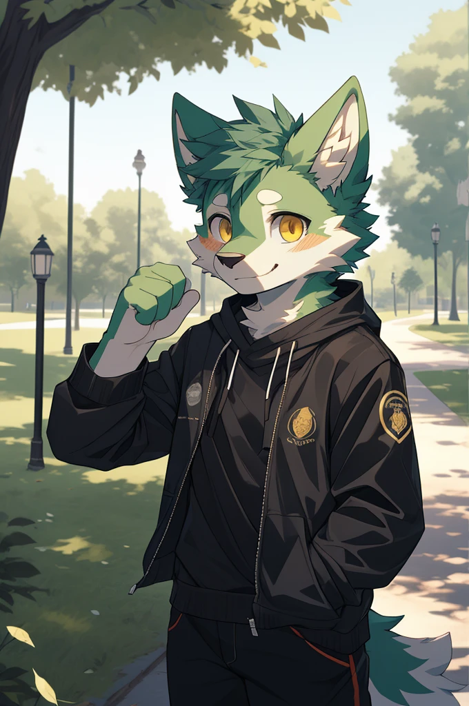 (highest resolution, Dynamic HDR, 4K, full HD) , furry, 18 years old, green fur wolf, green body, yellow eyes, Random clothes, shrink, bodyส่วนบน, round_cornea, Sad smiling face, cute, park, slim_body,