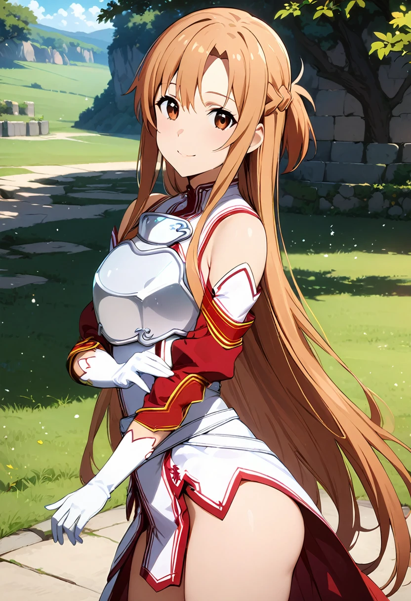 ((masterpiece)), Highest quality, Very detailed,(One Girl),Yuuki asuna、asuna(stay), brown eyes, bare shoulders, breastplate, armor, detached sleeves, gloves, white gloves, (red and white dress), Long Hair, smile, Beautiful background ,Completely naked,