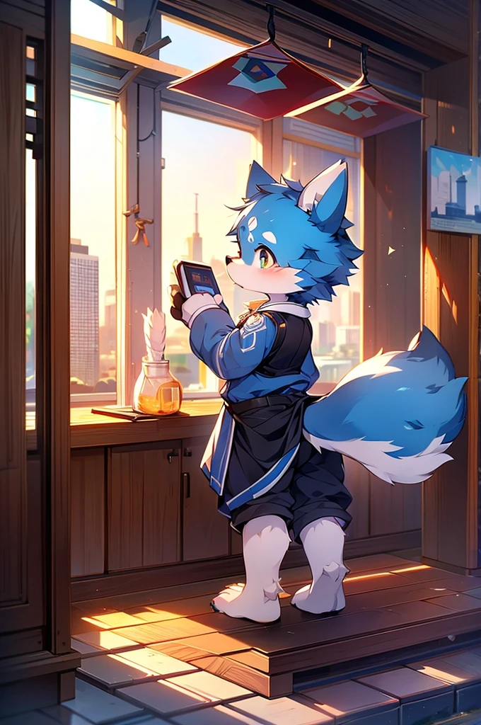 Blue fur, Canine, fox motif, boy, uniform,expensive，One person，Stand up on your own feet，背がexpensive，Cityscape，