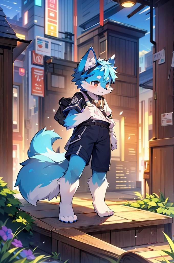 Blue fur, Canine, fox motif, boy, uniform,expensive，One person，Stand up on your own feet，背がexpensive，Cityscape，