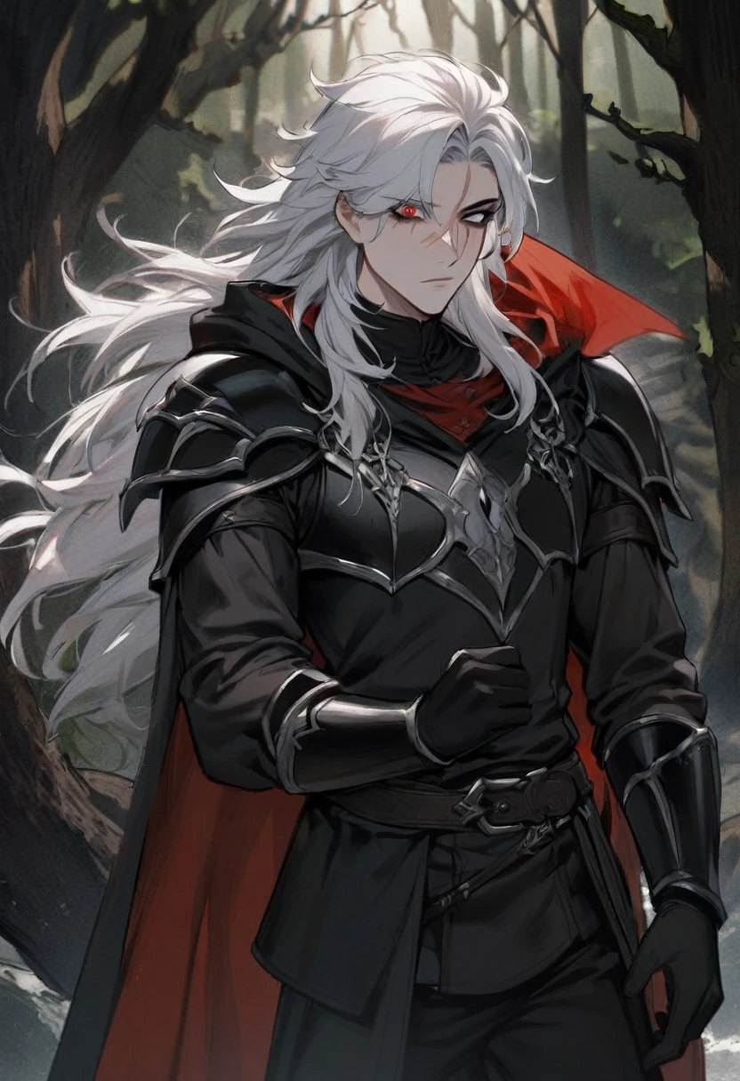 1manColdplace,fantasy, whitehair, cat ear, tall, glove, handsome, villian face, odd eye, 21 yearold, wearing black leather armor, male, no ears, long hair curryyoung man ,Male Dark, dark Woods,Red & Black colors, rogue dnd, wear cape, hood, have scar